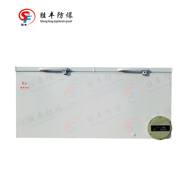 防爆冰柜 防爆冰柜