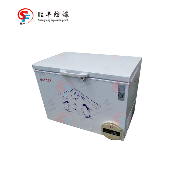 冷凍防爆冰柜